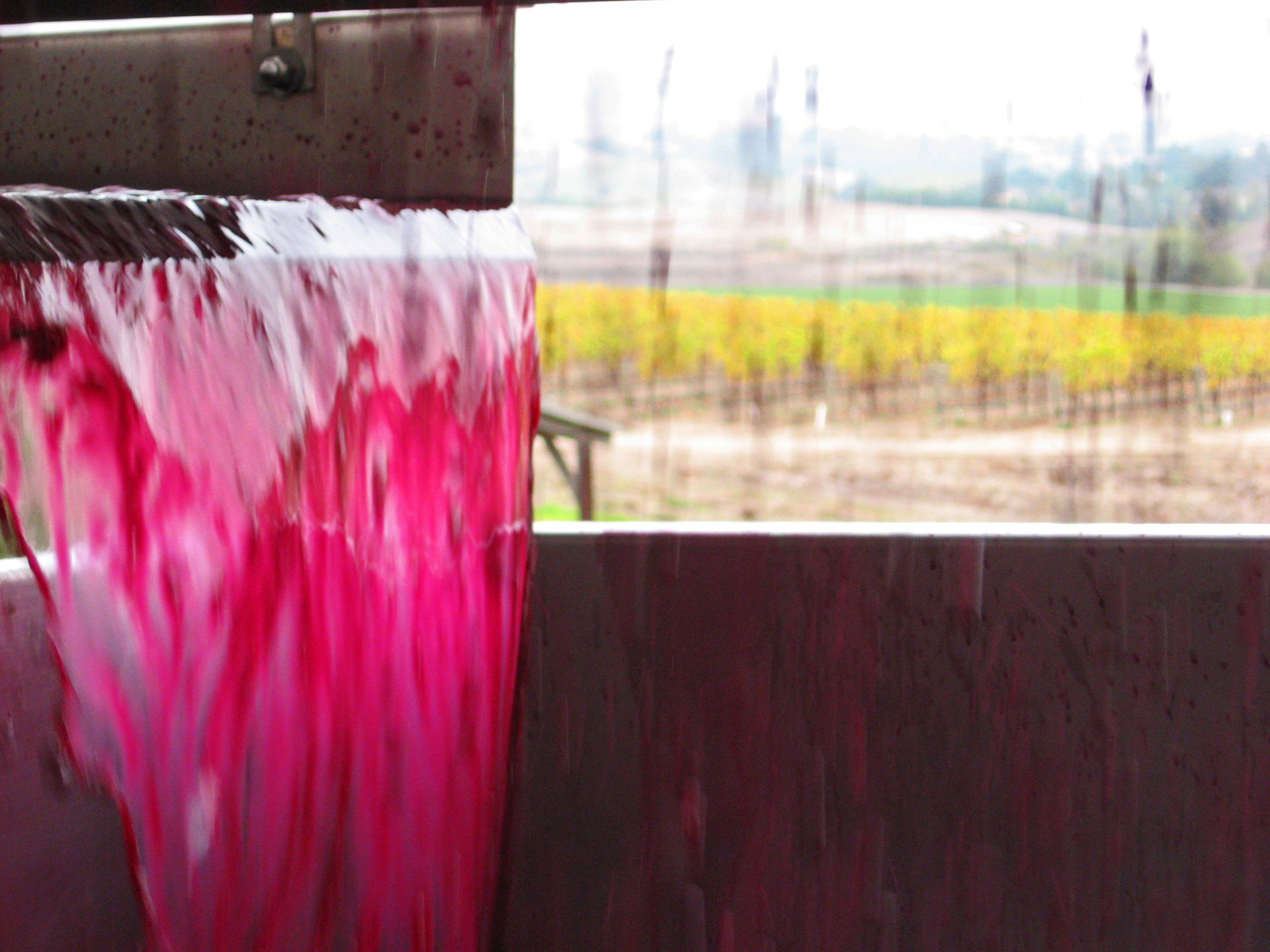 Kynsi Winery